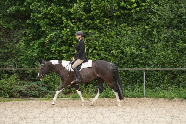sA9K09958.JPG
